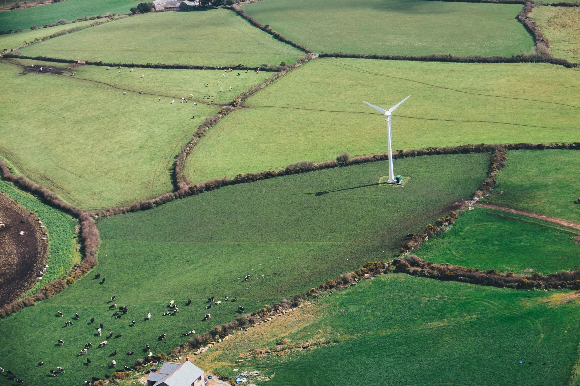 Field in Cornwall with wind turbine