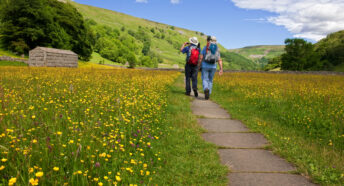 Walking through the flower filled summer hay meadows at Muker, Swaledale in the Yorkshire Dales