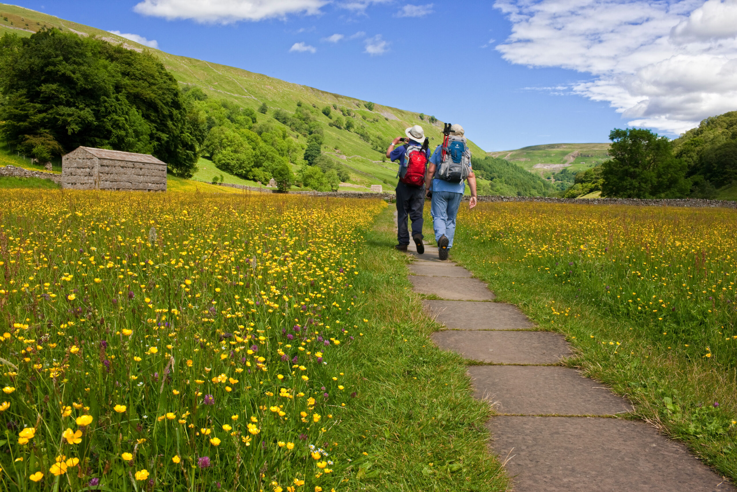 Walking through the flower filled summer hay meadows at Muker, Swaledale in the Yorkshire Dales