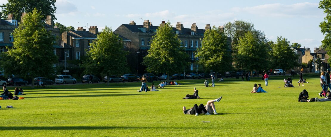 A lush parkland on a sunny day with people enjoying the space