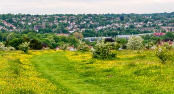 Farthing Downs, an area of Green Belt south of London.