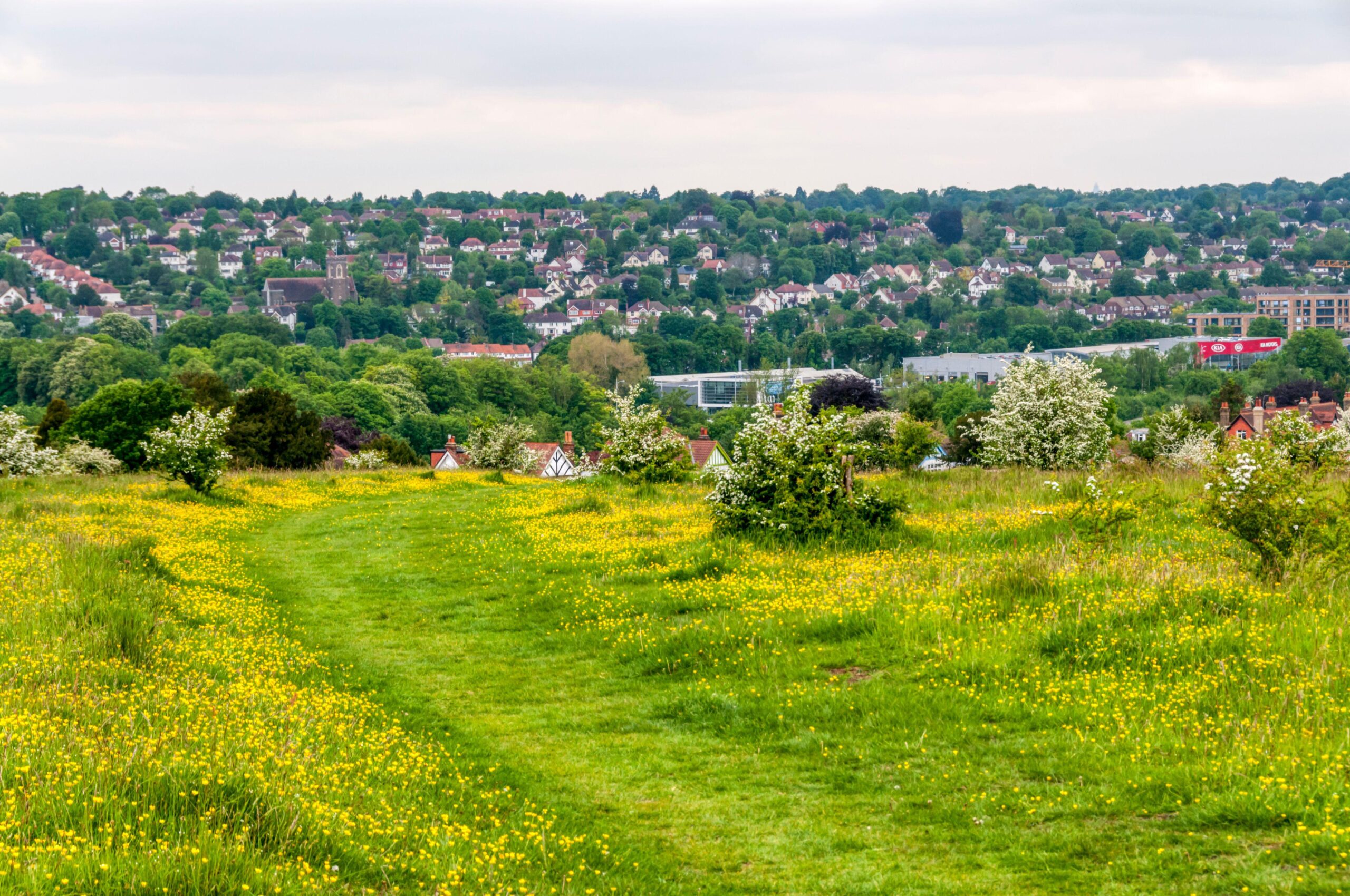 Farthing Downs, an area of Green Belt south of London.