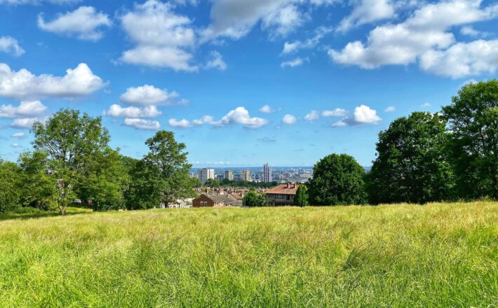 London's Green Belt with the City of London in the distance