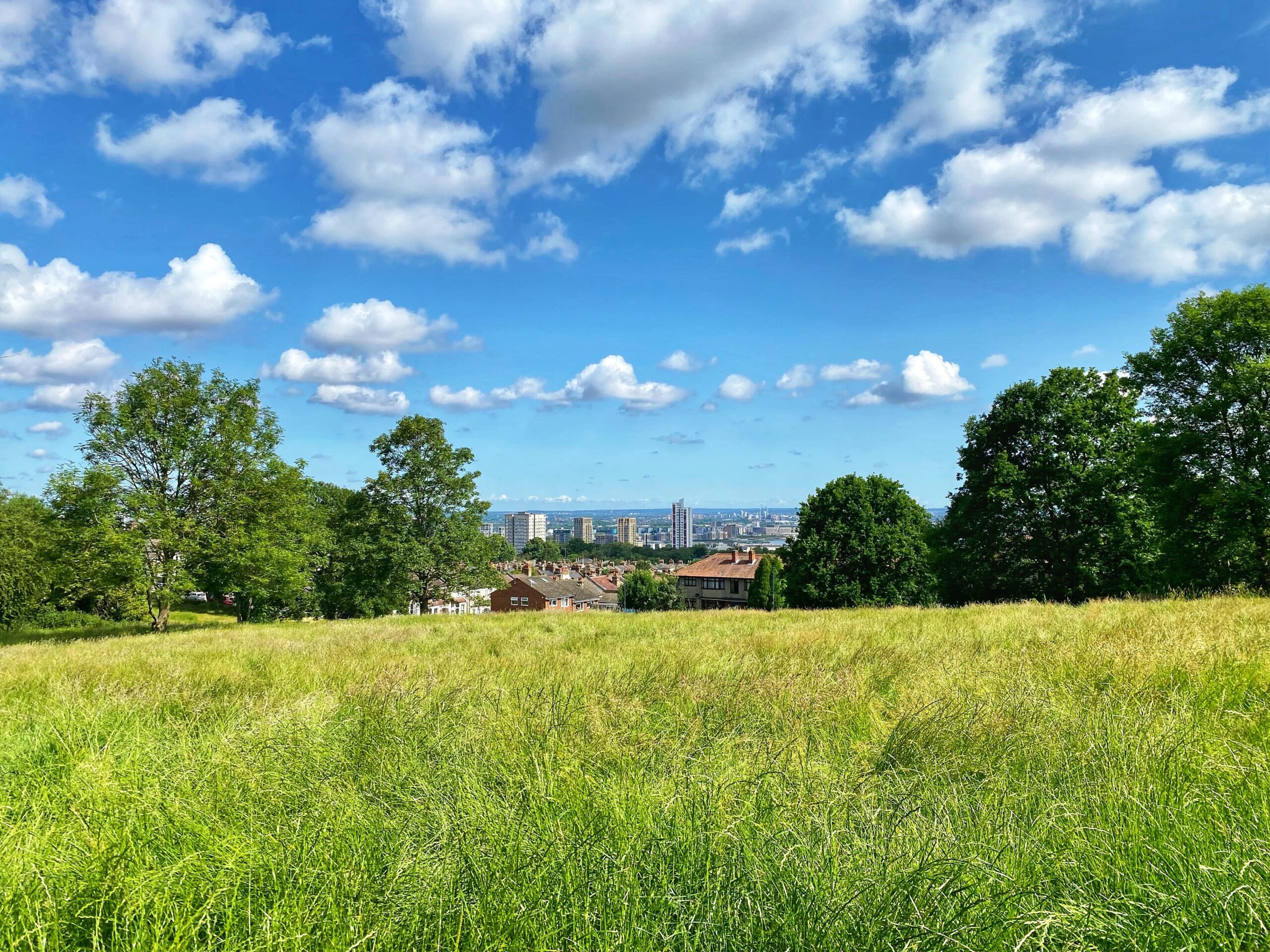 London's Green Belt with the City of London in the distance