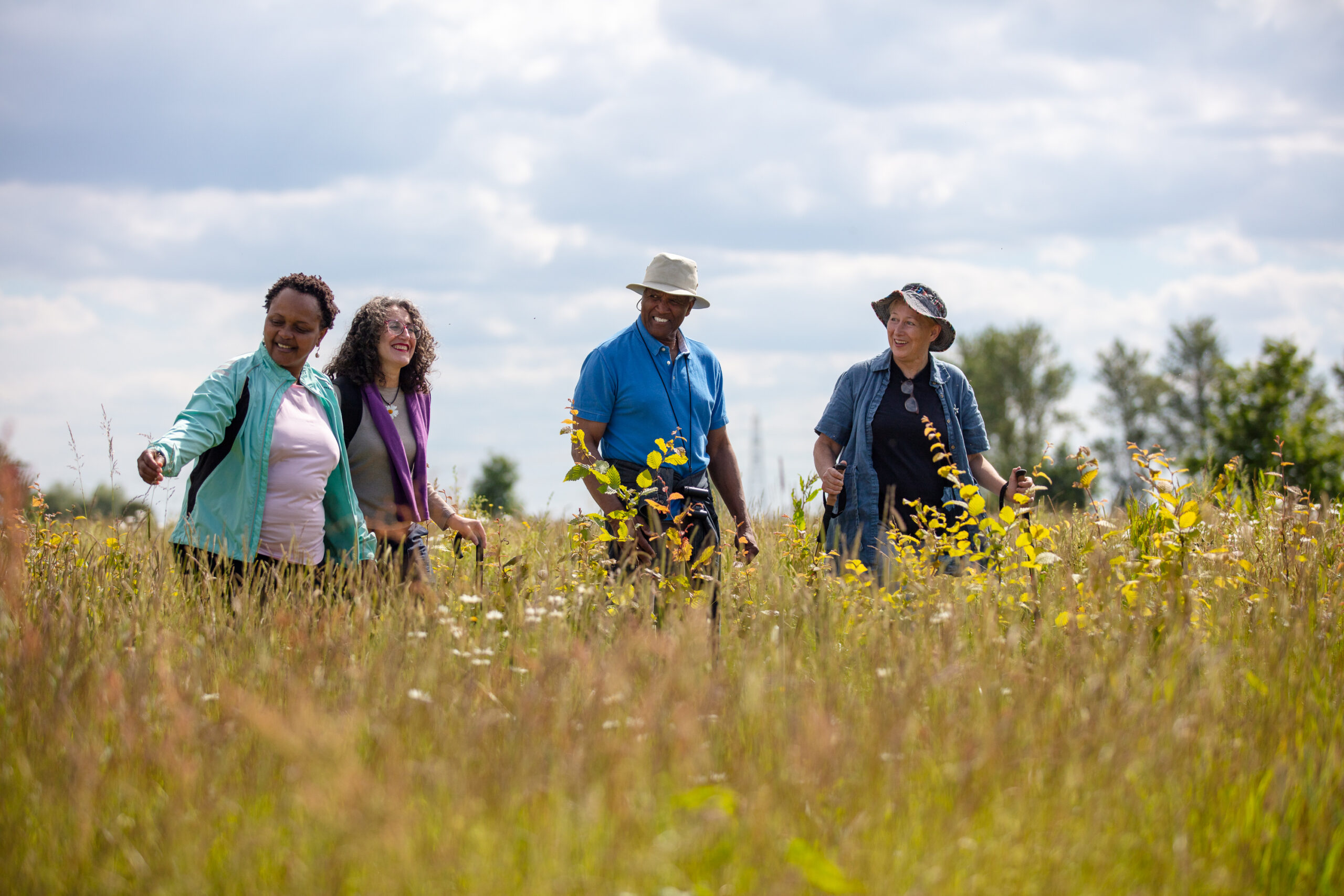 Group walking through wild flower meadow