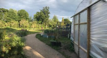 Image of Farncombe Community Garden with Polytunnel to the bottom right of the image and a path leading through the garden down the centre