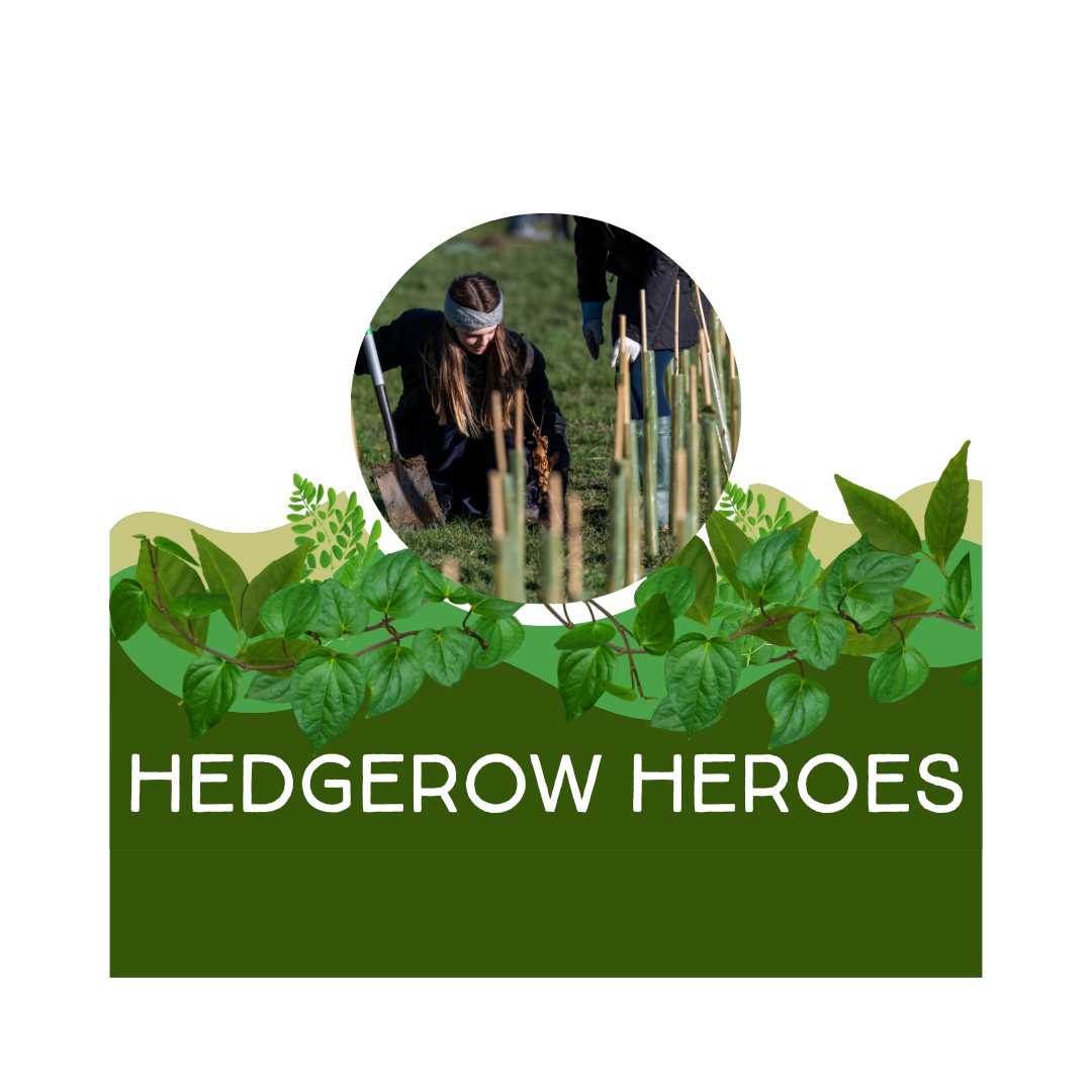Hedgerow Heroes Herefordshire